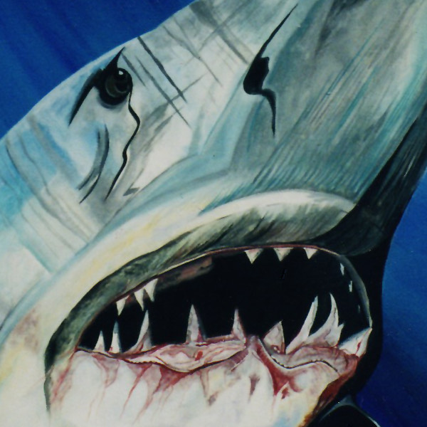 12%20Jacklyn%20Laflamme%20%28C%29%20Fish%20600 squashed