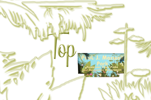 Button top-Paul-J-Maxwell-Park-Pembroke-Pines-florida-miami-Jacklyn-Laflamme-Public-Art--squashed